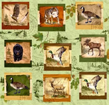 Wilderness Park Collage Sampler 28028 72812 Blocks